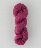 SweetGeorgia Yarns DK Yarns Cassis Trifecta DK