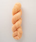 SweetGeorgia Yarns DK Yarns Creamsicle Superwash DK / Enlighten