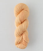SweetGeorgia Yarns DK Yarns Creamsicle Trifecta DK / Enlighten