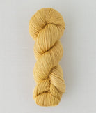 SweetGeorgia Yarns DK Yarns Daybreak Trifecta DK