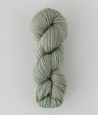 SweetGeorgia Yarns DK Yarns Foggy Dew Trifecta DK