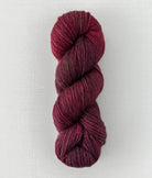 SweetGeorgia Yarns DK Yarns Gemini Trifecta DK
