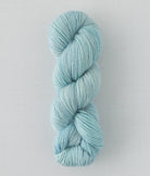 SweetGeorgia Yarns DK Yarns Hydrangea Trifecta DK / Enlighten