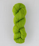 SweetGeorgia Yarns DK Yarns Lime Trifecta DK