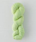 SweetGeorgia Yarns DK Yarns Limeade Trifecta DK / Enlighten