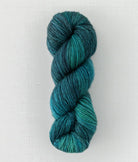 SweetGeorgia Yarns DK Yarns Odyssey Trifecta DK
