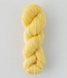 SweetGeorgia Yarns DK Yarns Popcorn Trifecta DK / Enlighten