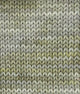 SweetGeorgia Yarns DK Yarns Sage Flaxen Silk DK