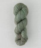 SweetGeorgia Yarns DK Yarns Winter Haven Trifecta DK