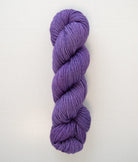 SweetGeorgia Yarns DK Yarns Wisteria Superwash DK