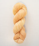 SweetGeorgia Yarns Fingering Yarns Creamsicle CashLuxe Fine / Enlighten