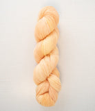 SweetGeorgia Yarns Fingering Yarns Creamsicle Tough Love Sock / Enlighten