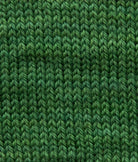 SweetGeorgia Yarns Fingering Yarns Fern Micro-Skein / Tough Love Sock