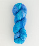 SweetGeorgia Yarns Fingering Yarns Fizzy Water Trifecta Fine