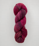 SweetGeorgia Yarns Fingering Yarns Gemini Trifecta Fine