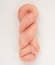 SweetGeorgia Yarns Fingering Yarns Glow CashLuxe Spark