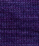 SweetGeorgia Yarns Fingering Yarns Iris Mini-Skein / Tough Love Sock