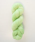 SweetGeorgia Yarns Fingering Yarns Limeade CashLuxe Fine / Enlighten