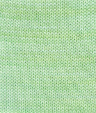 SweetGeorgia Yarns Fingering Yarns Limeade Mohair Silk Sock / Enlighten