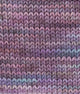 SweetGeorgia Yarns Fingering Yarns Magician BFL+Silk Fine