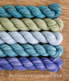 SweetGeorgia Yarns Knitting Patterns Hebe Sunset Scarf