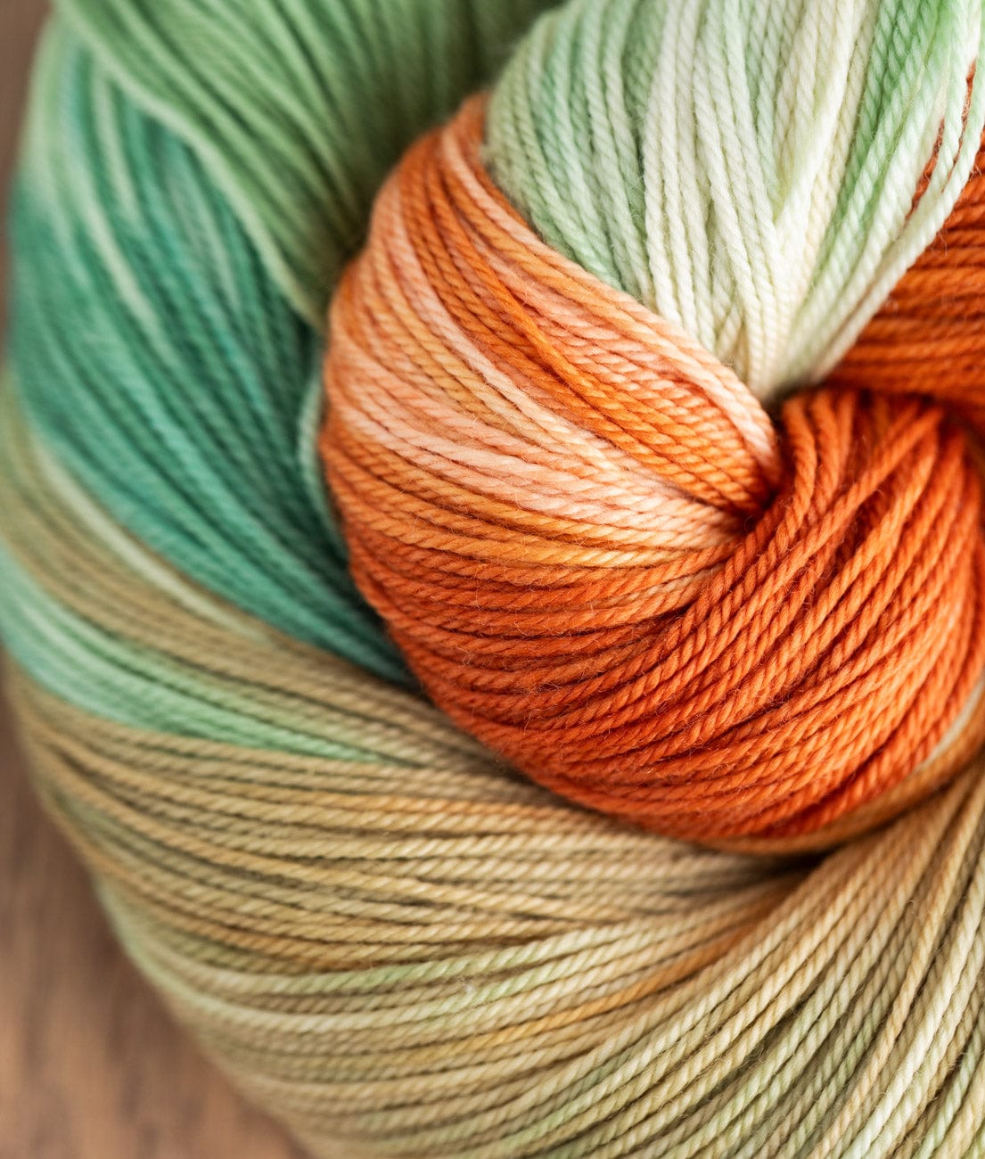 SweetGeorgia Yarns Limited & Exclusive A Day At Venice Additional Club Yarns for Members