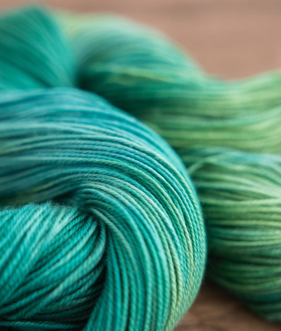 SweetGeorgia Yarns Limited & Exclusive Life of Plants Additional Club Yarns for Members