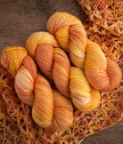 SweetGeorgia Yarns Limited & Exclusive Secret Stash / February 2026 Yarn Club