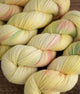 SweetGeorgia Yarns Limited & Exclusive Secret Stash / June 2026 Yarn Club