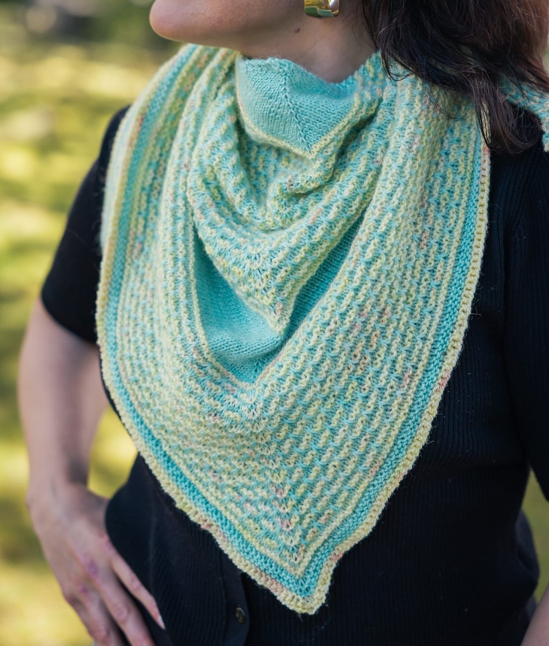 SweetGeorgia Yarns Limited & Exclusive Secret Stash / June 2026 Yarn Club