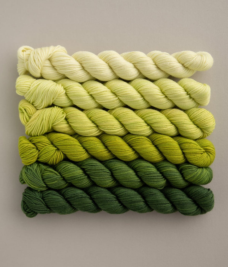 SweetGeorgia Yarns Mini-Skein Yarn Sets Botanica Fade Mini Colour Fade / Tough Love Sock