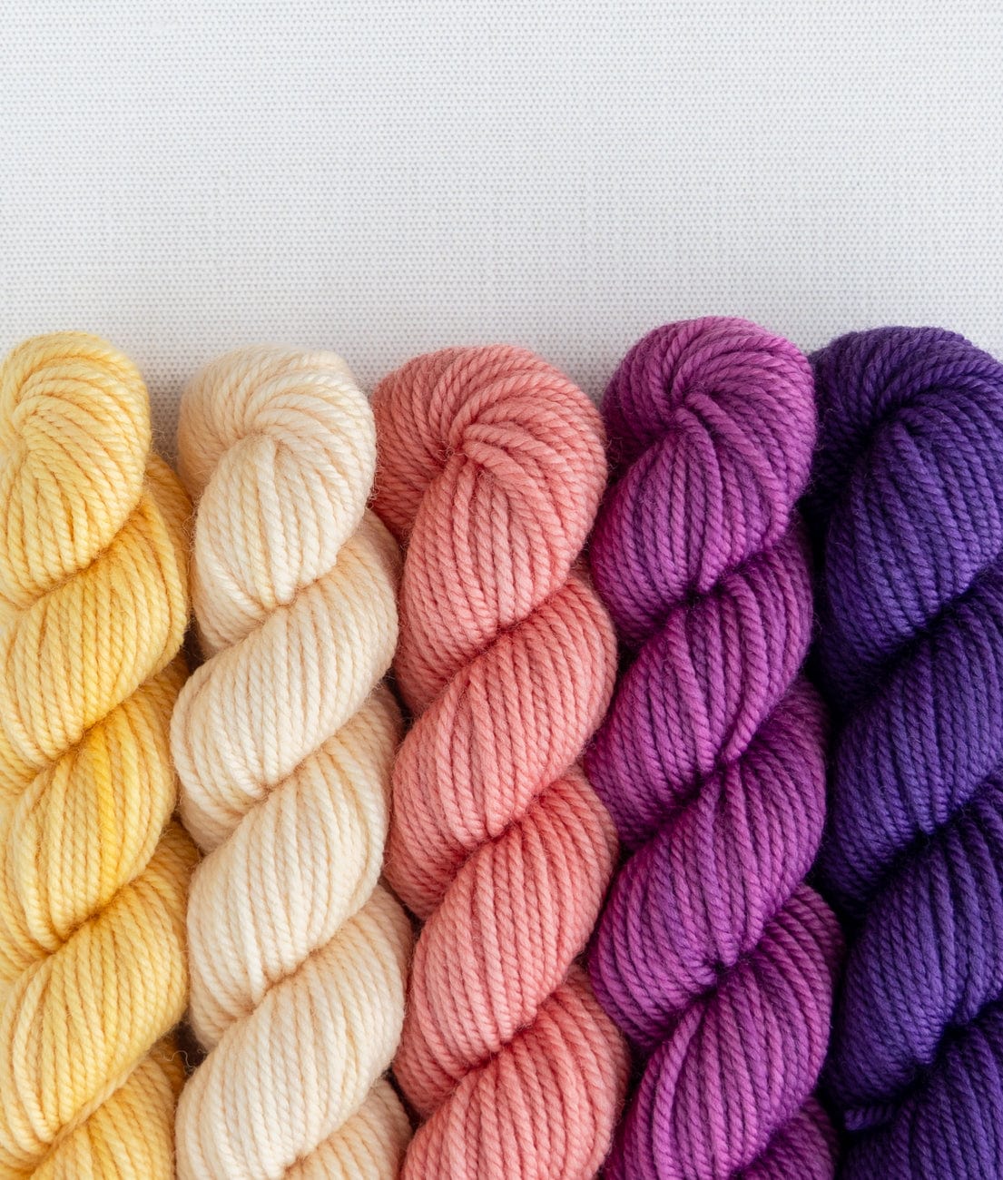 SweetGeorgia Yarns Mini-Skein Yarn Sets Cake Shop Party of Five / Superwash DK / Mini-Skein Set