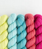 SweetGeorgia Yarns Mini-Skein Yarn Sets Candy Shop Party of Five / Tough Love / Mini-Skein Set