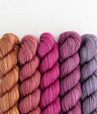 SweetGeorgia Yarns Mini-Skein Yarn Sets Spilling Secrets Party of Five / Tough Love / Mini-Skein Set