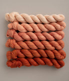 SweetGeorgia Yarns Mini-Skein Yarn Sets Sunkissed Fade Mini Colour Fade / Tough Love Sock