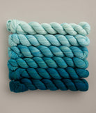 SweetGeorgia Yarns Mini-Skein Yarn Sets Swell Fade Mini Colour Fade / Tough Love Sock