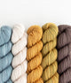 SweetGeorgia Yarns Mini-Skein Yarn Sets Tofino Roadtrip Party of Five / Tough Love / Mini-Skein Set