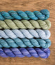 SweetGeorgia Yarns Mini-Skein Yarn Sets Wild Thistle Party of Five / Tough Love / Mini-Skein Set