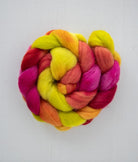 SweetGeorgia Yarns Spinning Fibre Corriedale / Celebrating at Cleveland Park True North Collection