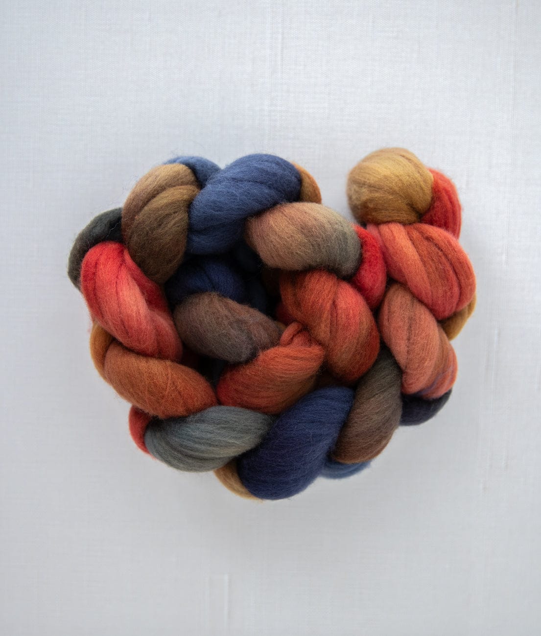 SweetGeorgia Yarns Spinning Fibre Targhee / Banff Bonfire True North Collection