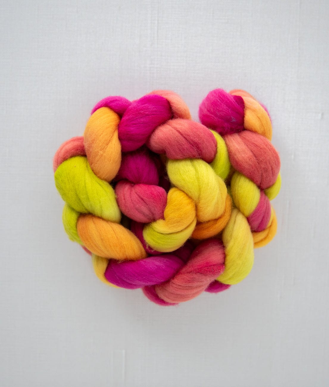 SweetGeorgia Yarns Spinning Fibre Targhee / Celebrating at Cleveland Park True North Collection