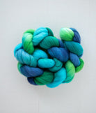 SweetGeorgia Yarns Spinning Fibre Targhee / Peggy's Cove True North Collection