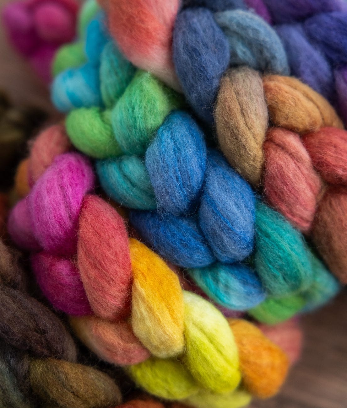 SweetGeorgia Yarns Spinning Fibre True North Collection