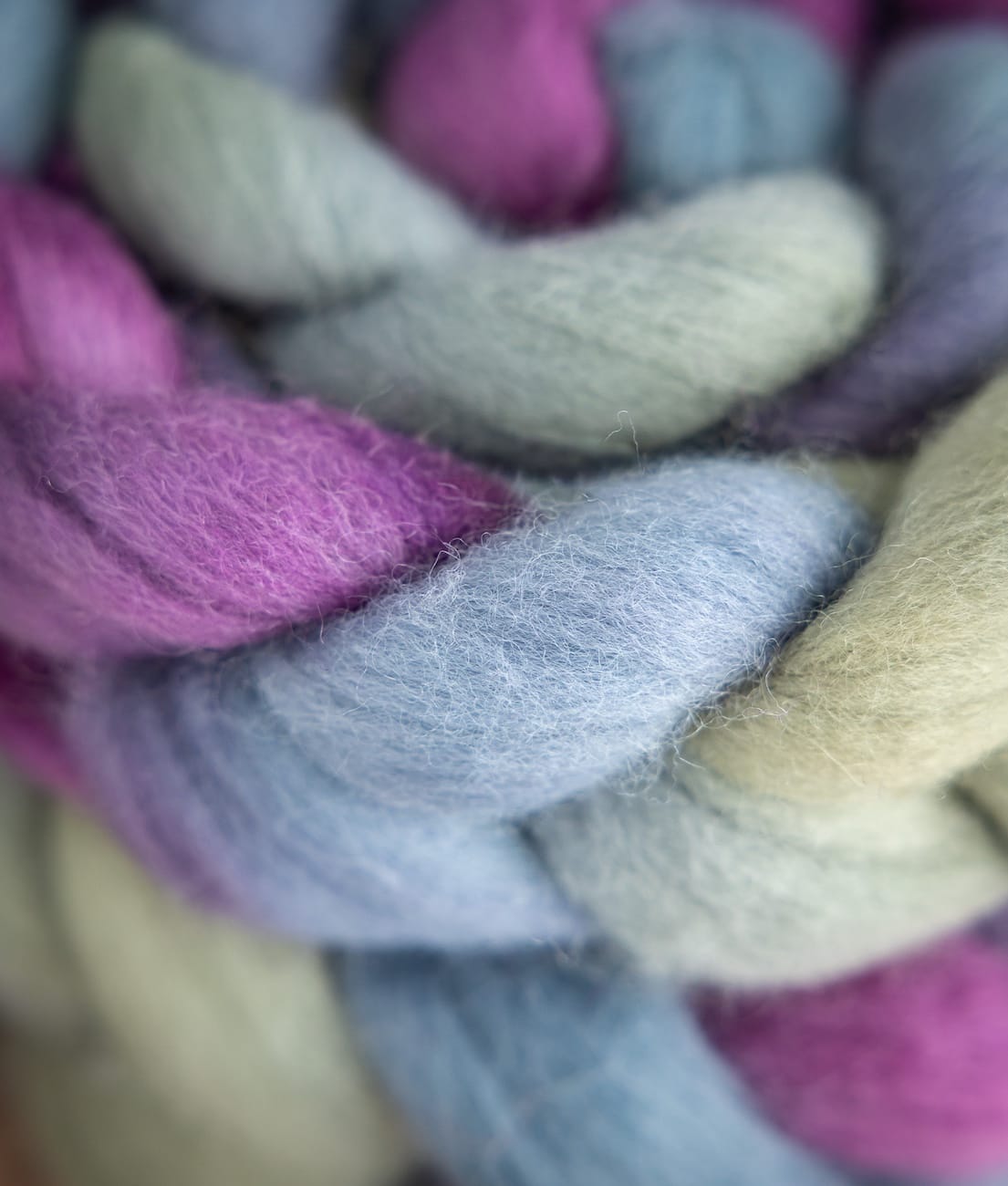 SweetGeorgia Yarns Spinning Fibre Wild Thistle