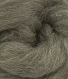 SweetGeorgia Yarns Undyed Spinning Fibre Spinning Sheep Breeds Kit / Down & Down-Like Wool