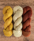 SweetGeorgia Yarns Weaving Kits Old Town Path