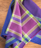 SweetGeorgia Yarns Weaving Patterns Picnic Plaid