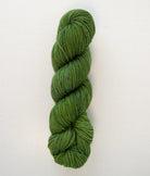 SweetGeorgia Yarns Worsted Yarns Basil Superwash Worsted