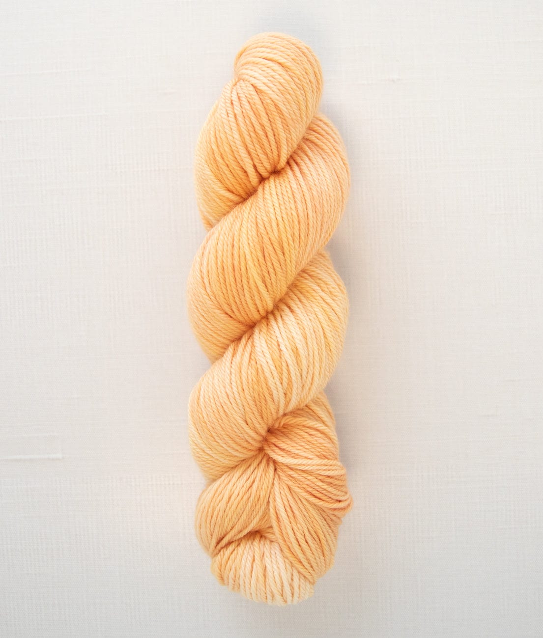 SweetGeorgia Yarns Worsted Yarns Creamsicle Superwash Worsted / Enlighten