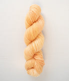 SweetGeorgia Yarns Worsted Yarns Creamsicle Superwash Worsted / Enlighten